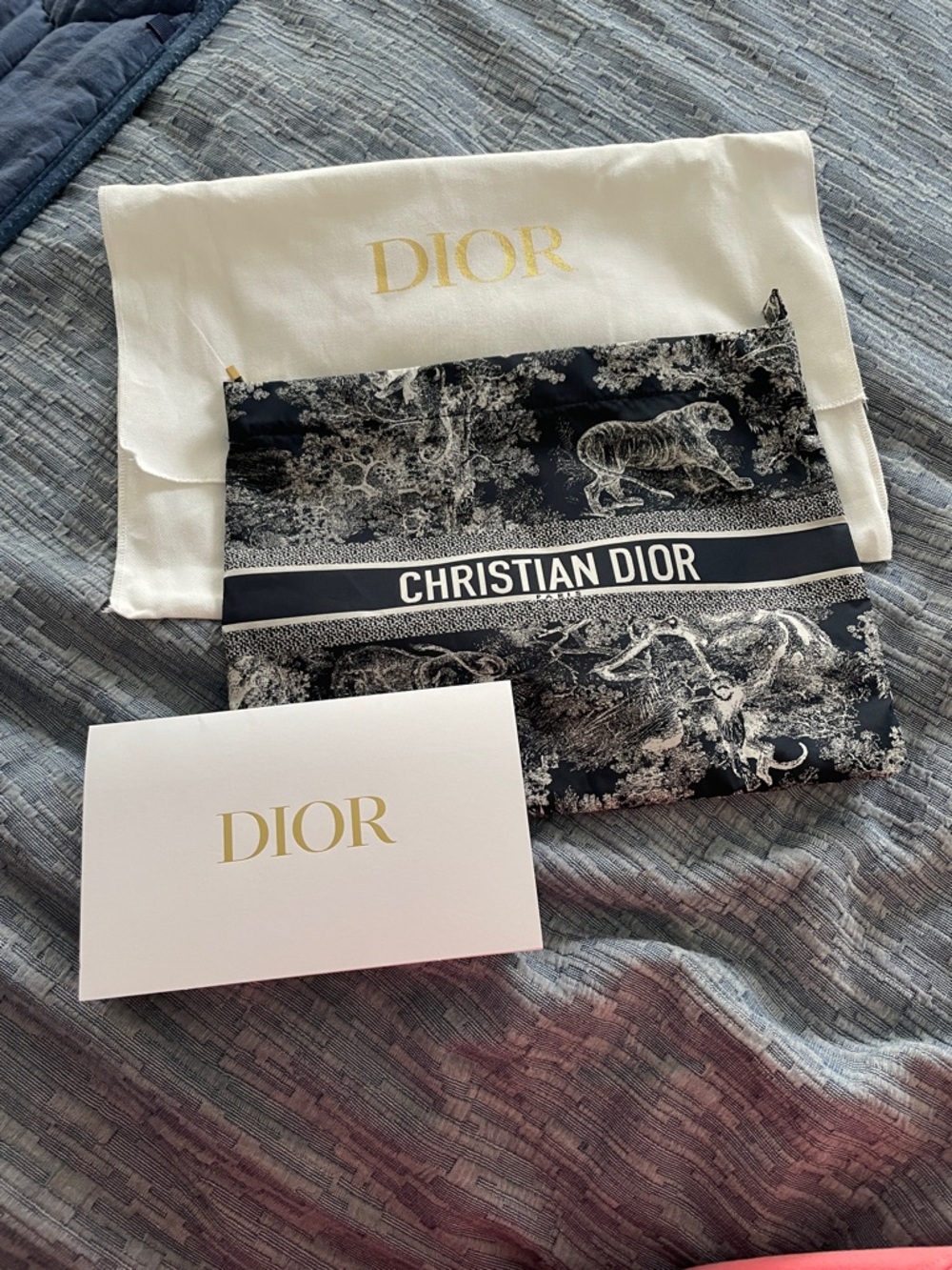 Christian Dior Toile Pouch in Blue and White